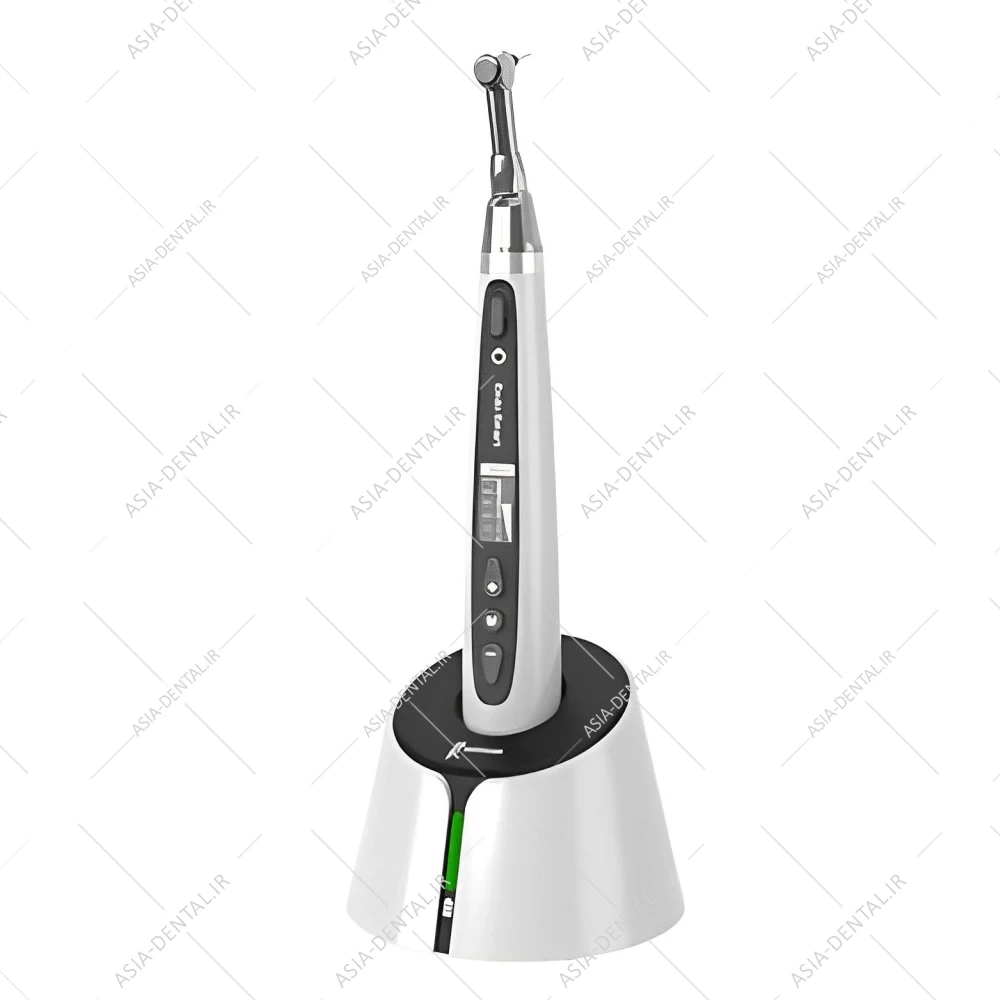 موتور اندو بیسیم وودپیکر Endo Smart